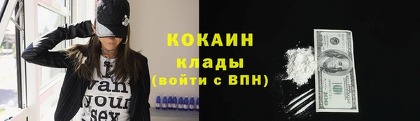 Альфа ПВП Вяземский