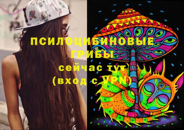 прущая мука Вязники