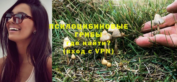 прущая мука Вязники