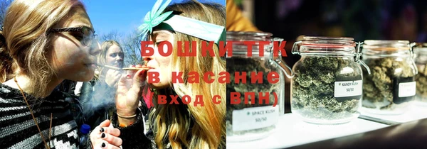 трава Вязьма
